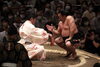 照強関「大相撲9月場所が両国国技館で始まりました✨ 淡路島出身、照強は前頭東15枚目‼️ 初日の今日は、照強が鮮やかな腕捻り（腕捻り）で豊山を倒し白星を決めました❤️」