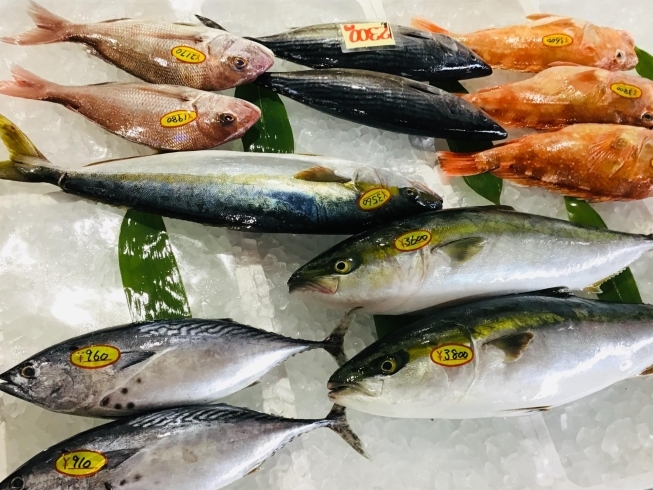 Okizlz9bwwxsmm Okizlz9bwwxsmm