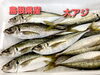 「○本日のお刺身○【島根県産】ヒラメ、大アジ」