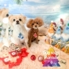 看板犬「🐩🎄年末営業時間延長のお知らせ🎄🐩」