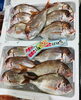 「西海物産館・魚魚市場鮮魚コーナーおすすめは「イサキ・エゾバフンウニ」です♪」