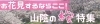 お花見するなら！　“桜”特集