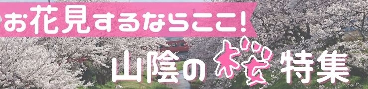島根・鳥取でお花見するならここがオススメ！　山陰の“桜”特集