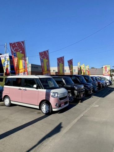 スターオート千歳店 車買取 下取 新車中古車販売 フラット7千歳店 新車軽自動車マイカーリース 月々コミコミ定額 フラット7 ニコニコレンタカー千歳東雲町店 無料送迎 千歳空港 千歳駅 南千歳 市内ホテル 北海道 格安レンタカー スターオート千歳店のニュース スターオート千歳店 車買取 下取 新車中古車販売 フラット7千歳店 新車軽自動車マイカーリース 月々コミコミ定額 フラット7 ニコニコレンタカー千歳東雲町店 無料送迎 千歳空港 千歳駅 南千歳 市内ホテル 北海道 格安レンタカー スターオート千歳店のニュース