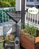「LFCコンポスト堆肥でベランダ菜園 リレー栽培中です」
