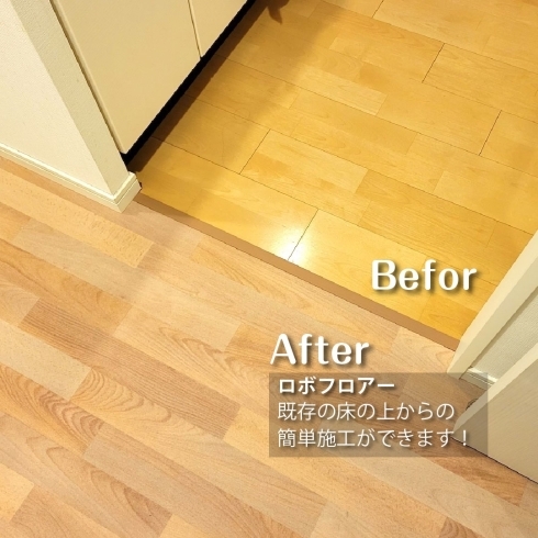 犬猫のための滑らない床で健康寿命を伸ばそう 抗菌 耐水 防音 耐火のコスパ最強の床 合同会社りぶふるのニュース まいぷれ 江戸川区 犬猫のための滑らない床で健康寿命を伸ばそう 抗菌 耐水 防音 耐火のコスパ最強の床 合同会社りぶふるのニュース まいぷれ 江戸川区