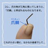 「プチっと取ってない⁈」