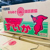 「今年も千葉県産「すいか」が始まりました~♪♪」