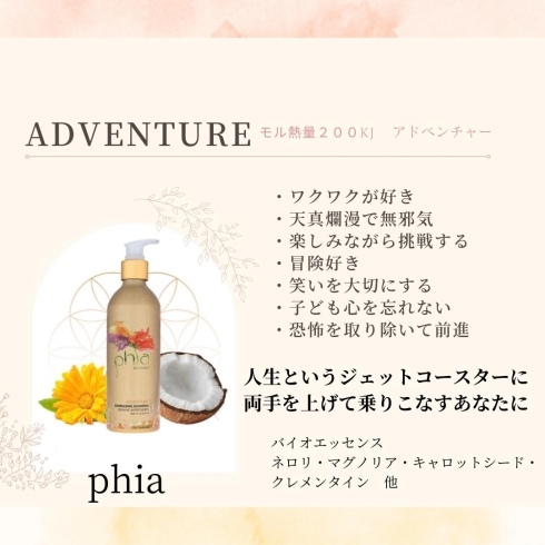 💐phiaエナジーブーケ💐 | おうちサロン フリージア freesiaのニュース 💐phiaエナジーブーケ💐 | おうちサロン フリージア freesiaのニュース