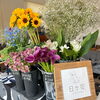 写真はイメージです！今日はどんなお花かな！「【お得に温熱体験】本日9/26(火)にじいろマルシェ／馬込沢／石和カフェ／温熱整体namiko」
