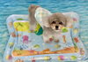 ここくん「波とわんこ🌊」