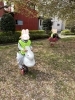 「ふれあい公園！！」