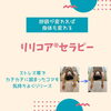 「【期間限定】施術ご予約の方に新メニューを無料体験していただけます」