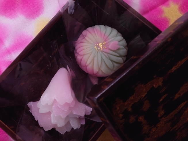 「『吉野桜』はじめました！【季節のお菓子 手土産・ご挨拶に名鉄「前後駅」すぐの久乃屋】」