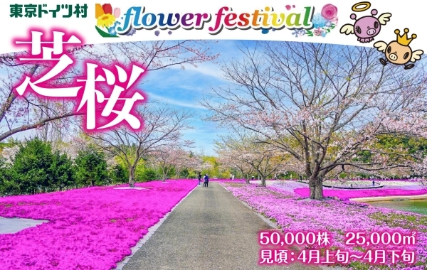 【東京ドイツ村】フラワーフェスティバル　芝桜