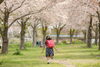 卒業・入園・入学撮影「卒園・卒業記念写真・ランドセル撮影」