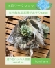 夢を包む、紫陽花お守りswag「6月〜夏限定・営業時間と定休日のお知らせ」