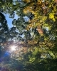 「まいづる茶屋で四季折々の景色をお楽しみください🍂」