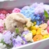 ペット棺とお見送り花「虹色フラワーボックス」やすらぎセット