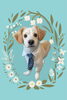 「Dog salon mofu mofu　余市町」