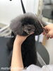 はい。どうぞ^o^  と、 カメラ目線(笑)「秋のオプションキャンペーン　（＾_＾）」