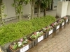 みなさまのおかげで、入口が華やかになりました!