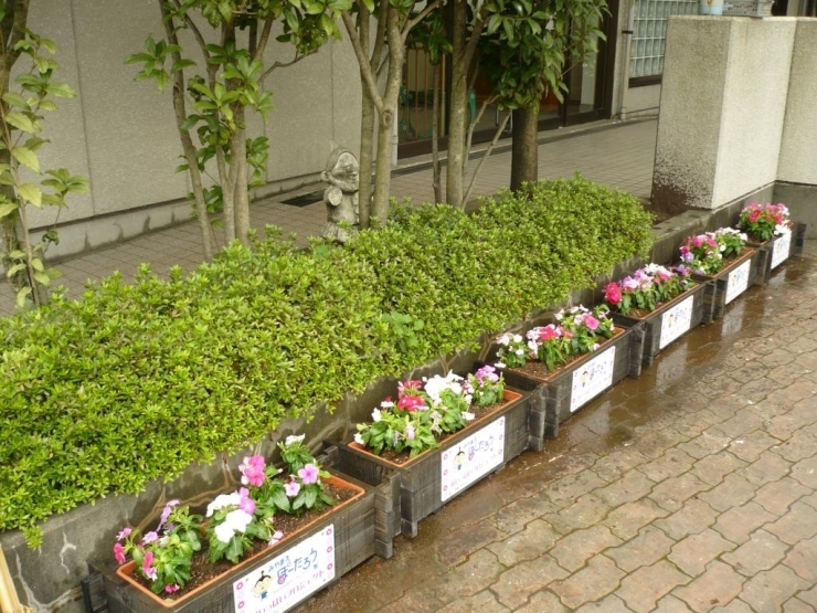 みんなでつくろう 花いっぱいの宮前区 花いっぱいプロジェクト 宮前ぽーたろう 川崎市宮前区