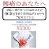 腰痛改善の方、すぐにご連絡ください！「大雪だから大サービス②【新潟市 整体 腰痛 肩こり 骨盤矯正 膝痛】」
