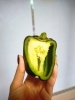 「食べた物でカラダは出来ている」