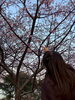 あなたも春の風景を見つけよう「大角の四季」