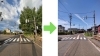 道路にせり出し車と接触する危険性もあります「立木の伐採工事」