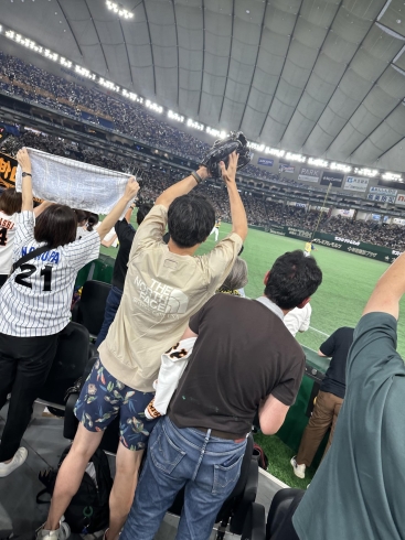 選手が投げ入れるボールが欲しくアピールしています「サントリードリームマッチ2024アンティークDEN」