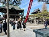「【帰山奉告式①】帰山行列　柴又帝釈天題経寺→柴又帝釈天参道→日蓮宗妙栄院（高砂）へ◾️令和7年2月16日（日）100日間の大荒行（再行）を終えた妙栄院住職：及川浩正上人［京成高砂駅より徒歩5分・無人野菜販売所・鬼子母神・日蓮宗ご祈祷］」