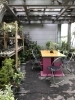 植物好きなら誰もが知る 植木の老舗卸問屋 花宇宙 さん かわいいなさんの空中散歩 まいぷれ 川西 猪名川 植物好きなら誰もが知る 植木の老舗卸問屋 花宇宙 さん かわいいなさんの空中散歩 まいぷれ 川西 猪名川