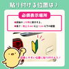 「意外と知らない？【初心者マークについて🔰】」
