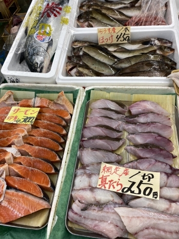 松鯛が入荷しました 横田鮮魚店のニュース まいぷれ 小樽市