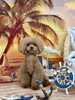 ショコラちゃん「サンセットビーチ🏖️」