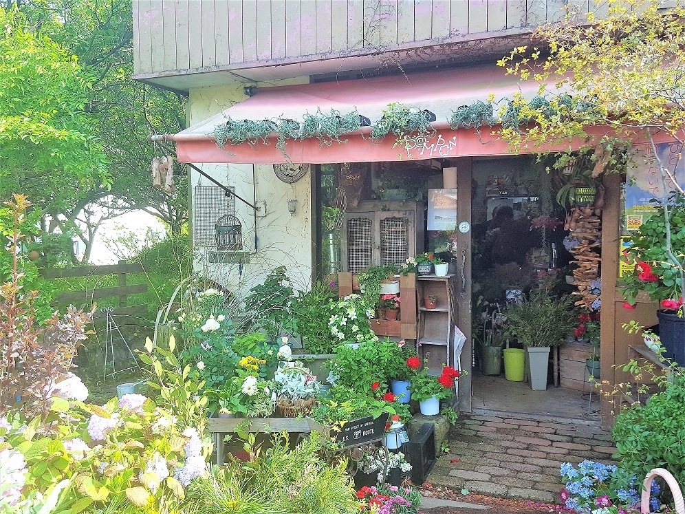 花を見て触って選べる 地元で愛される花屋 Pompon ポムポン まいぶれ春日井市 おすすめショップ まいぷれ 春日井市 花を見て触って選べる 地元で愛される花屋 Pompon ポムポン まいぶれ春日井市 おすすめショップ まいぷれ 春日井市