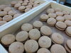 「夏のお菓子」