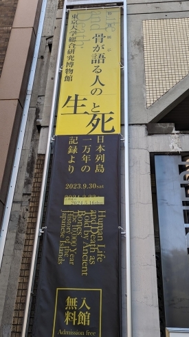 東京大学総合研究博物館入り口「魚沼整体　通い続けない身体へ　【骨が語る人の生と死】」