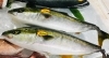 「魚魚市場鮮魚コーナーおすすめは「ハガツオ・天然ヒラス・天然ぶり」です♪」