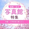 【2026年最新】函館市・北斗市近郊で卒園・卒業・入学写真を撮るならここ！おすすめ写真館・フォトスタジオ6選