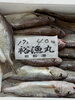 「岩船港直売所営業致します」