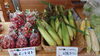 ミニトマト　とうみぎ！「夏野菜！入荷してま～す！【福島市/道の駅つちゆ/土湯温泉】」