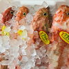 「魚魚市場鮮魚コーナーおすすめは「タチウオ・イシダイ」です♪」