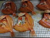 「📣本日のお魚情報🐟」