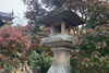 「紅葉が綺麗と有名な成相寺❤️✨ 来週ぐらいが見頃です グラデーションを楽しめるのは今ですね」