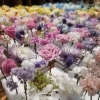 ワークショップ用プリザーブドフラワー「トリコカワグチマルシェ❗」