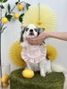 姫ちゃん　愛おしいハイシニアさん♡「わんことレモン🍋」