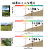 結果はこんな感じ！「土壌調査してます！！」